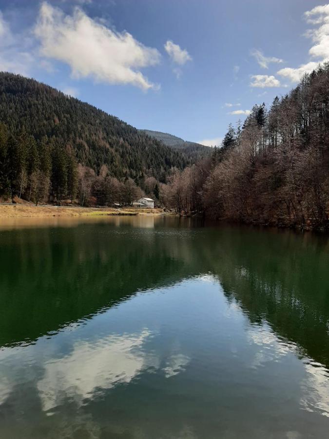 Bocksbergglueck In Hahnenklee, Endreinigung, Bezogene Betten, Handtuecher Inklusive Гослар Екстериор снимка
