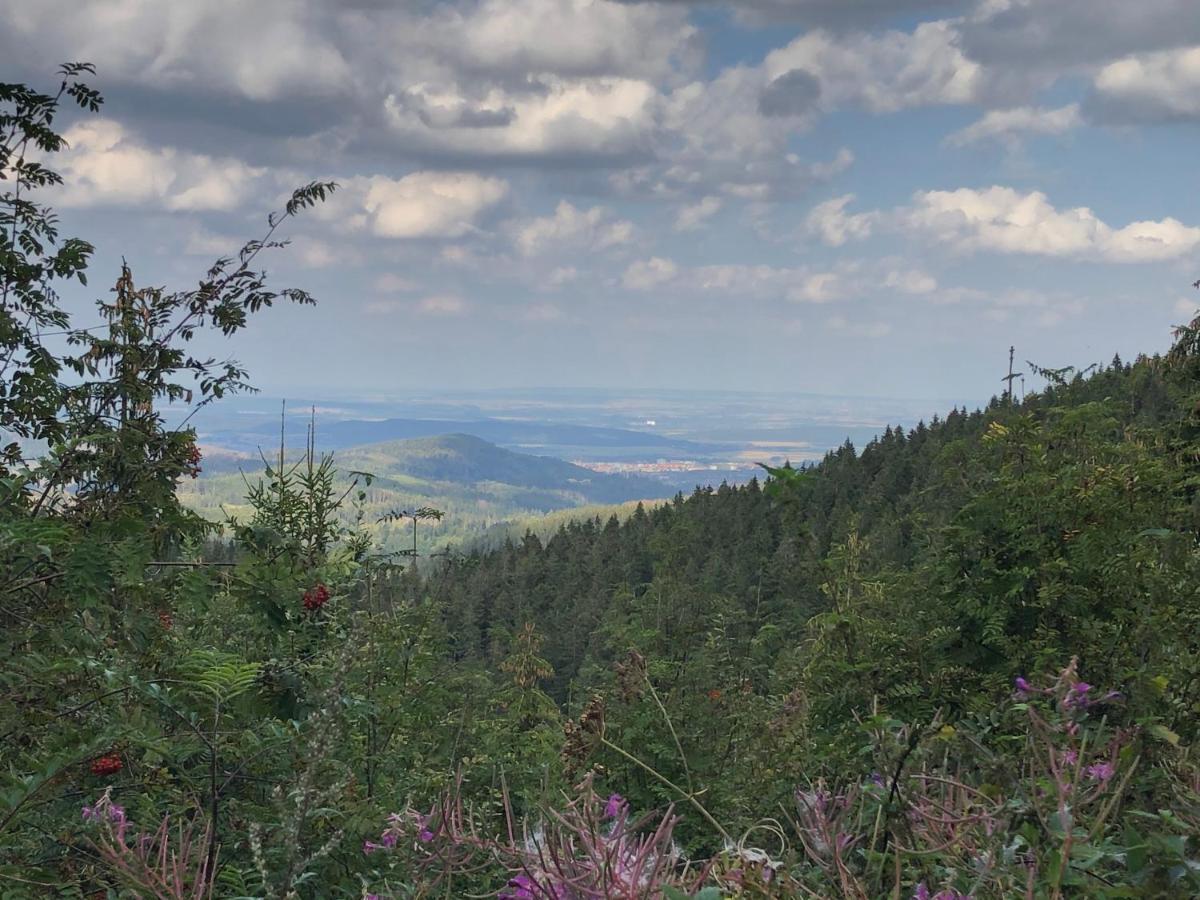 Bocksbergglueck In Hahnenklee, Endreinigung, Bezogene Betten, Handtuecher Inklusive Гослар Екстериор снимка