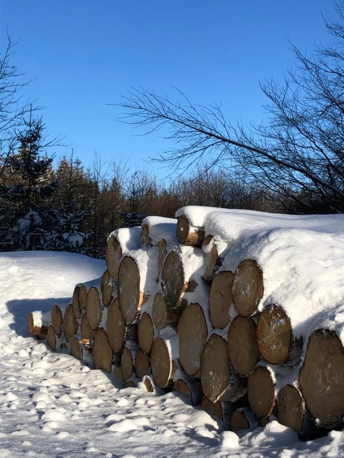 Bocksbergglueck In Hahnenklee, Endreinigung, Bezogene Betten, Handtuecher Inklusive Гослар Екстериор снимка